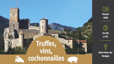 Marché aux Truffes St Jean de Buèges